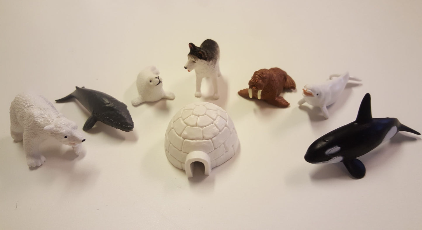 Världsdelarnas djur Arktis