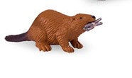 Bäver