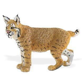 Red lynx 8x5 cm