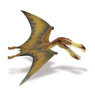 Pterosaur