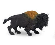 Bison