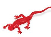 Salamander