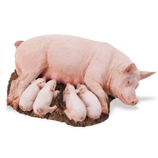 Sow with piglets