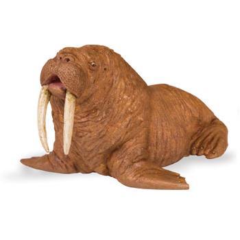 Walrus 12.5x6.5 cm