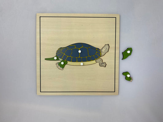 Pussel - sköldpadda med skelett