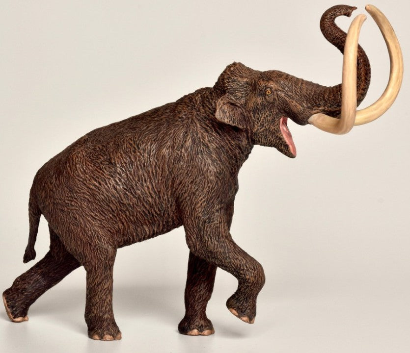 Woolly mammoth 13.5x13.5 cm