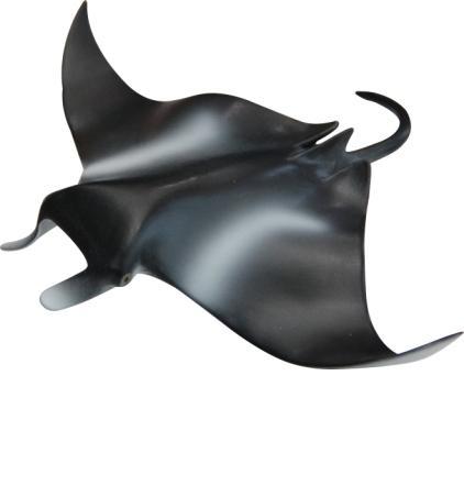 Manta ray