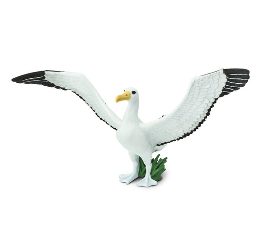 Albatross 17.75x6.5 cm