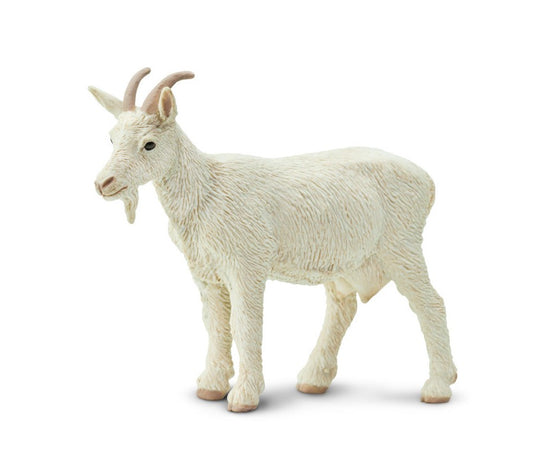 Goat