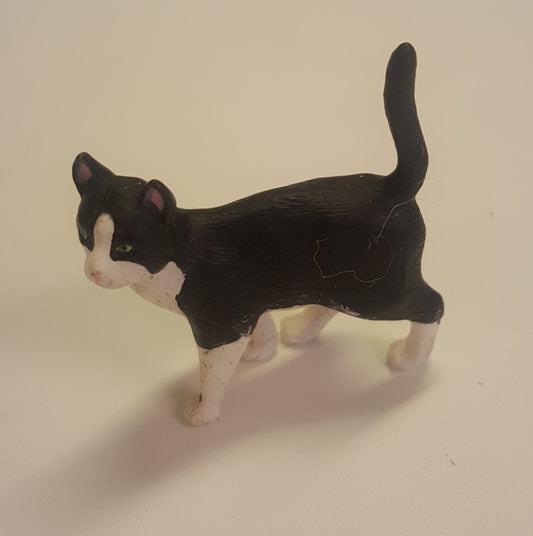 Cat - breed varies