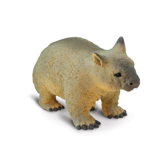 Wombat