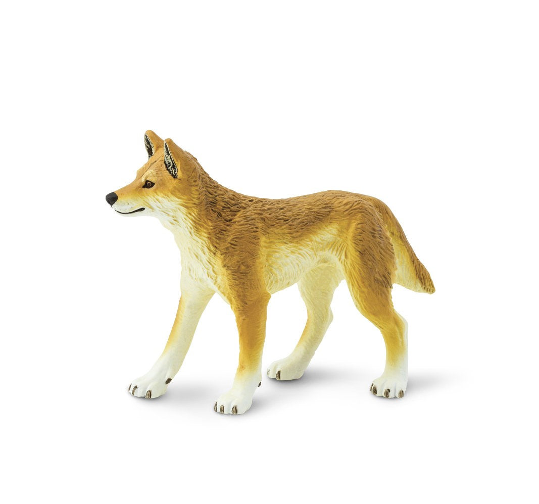 Dingo 10x6.5 cm