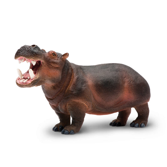 Hippo 12.75x6.75