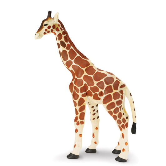 Giraffe 12.5x18 cm