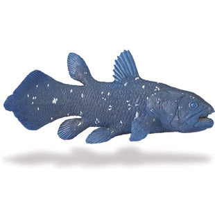 Coelacanth 14.6x7.6 cm
