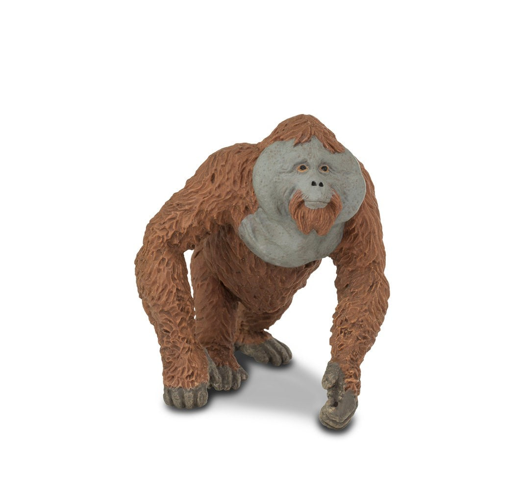 Orangutang 11x6.75 cm