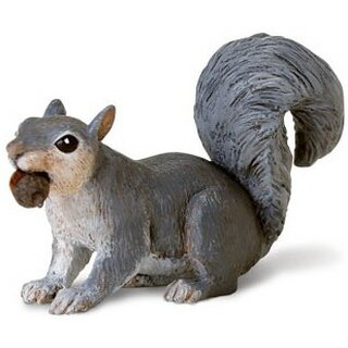 Squirrel 5x7.5 cm