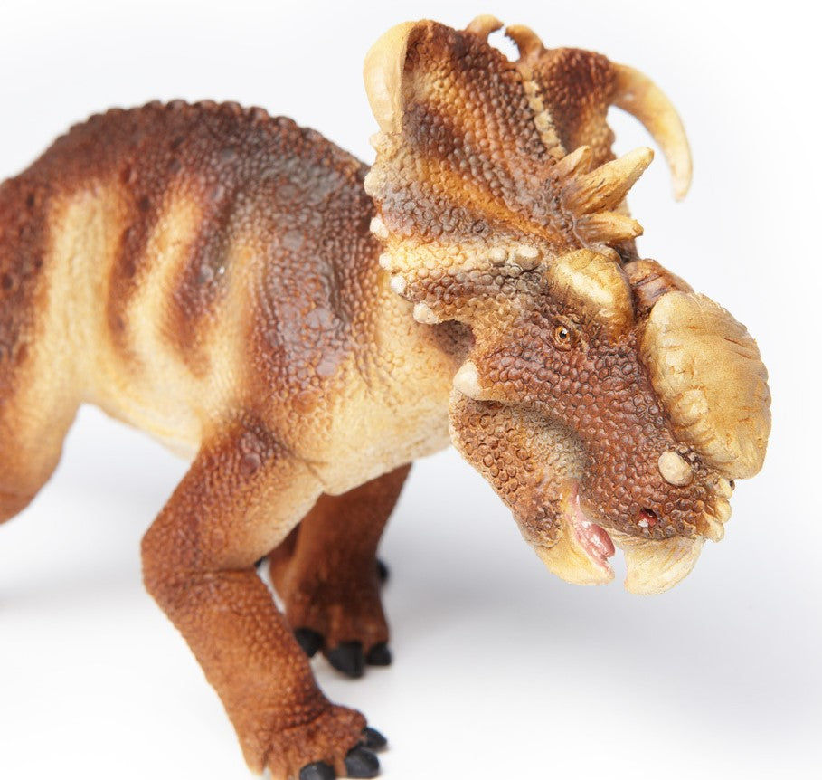 pachyrhinosaurus