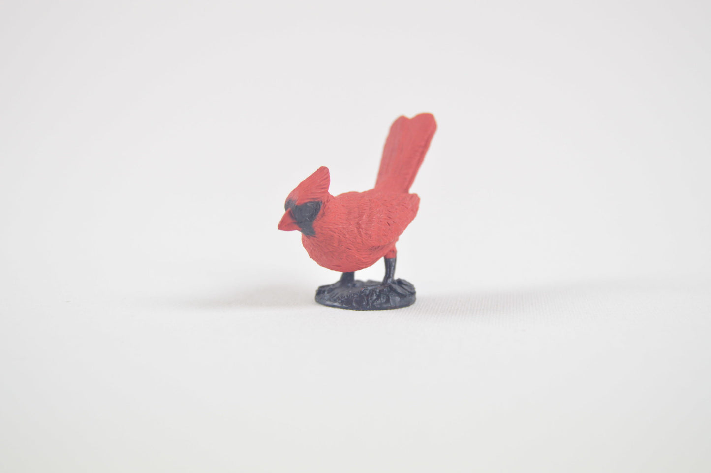 Kardinalfågel