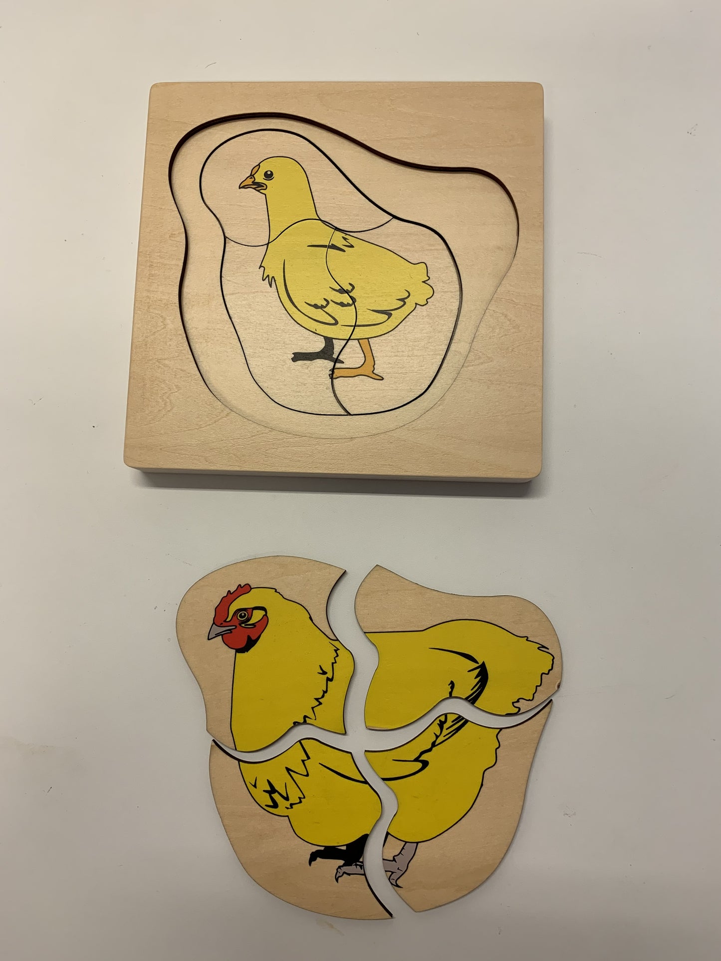 Kycklingens livscykel pussel