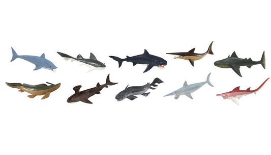 Förhistoriska hajar 10 st