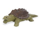 Snapping turtle
