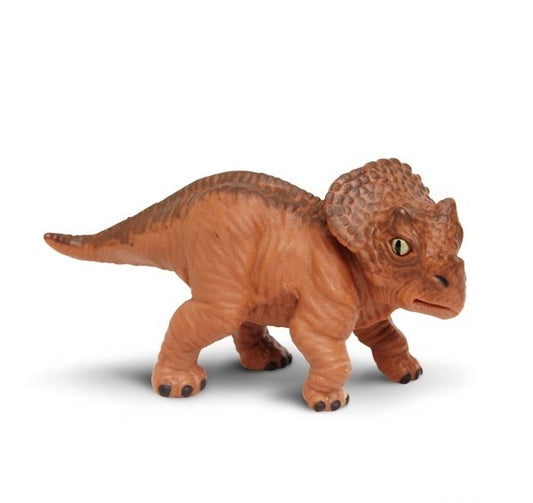 triceratops