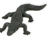 Alligator