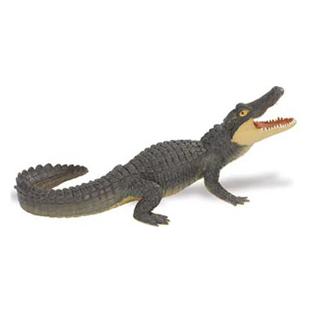 Alligator 16.5x5 cm