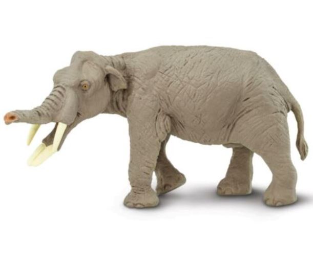Amebelodon mastodon 17.5x8 cm
