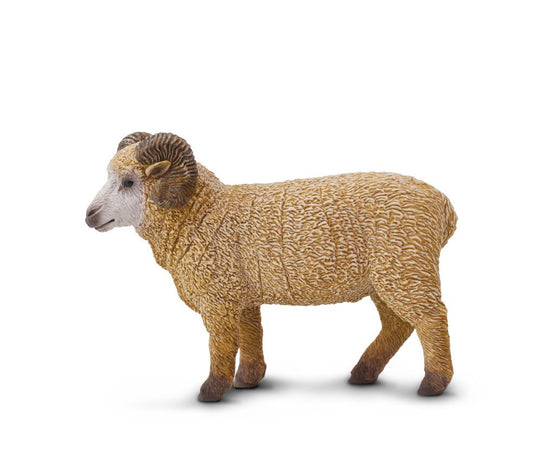 Ram 8.75x7 cm