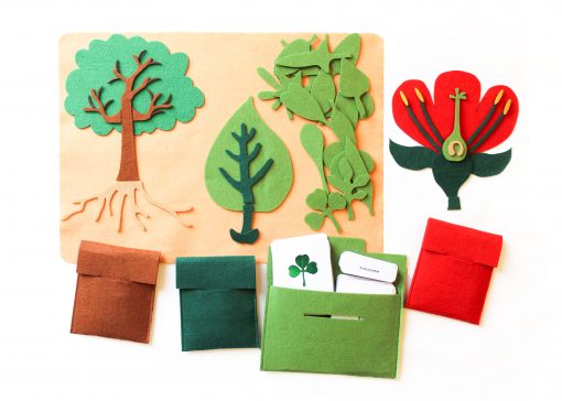 Botaniskt set i filt
