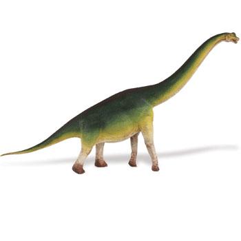 Brachiosaurus 34.5x19.5 cm