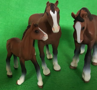 Clydesdale foal