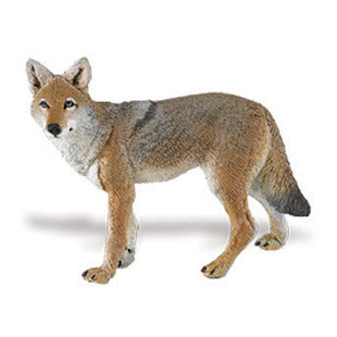 Coyote 8.25x5.7 cm