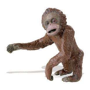 Orangutang - unge 6x6 cm