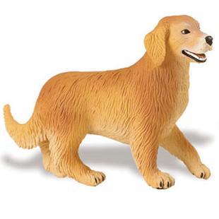 Hund - Golden retriever 10x7.5 cm