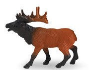 Caribou