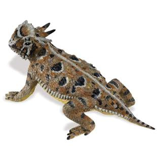 Horned toad 13x8 cm