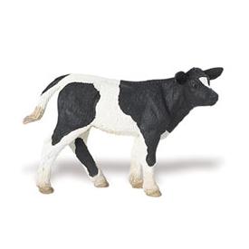 Calf 8x55