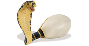 Kobra som kläcks ur ägg 9.5x7.5 cm