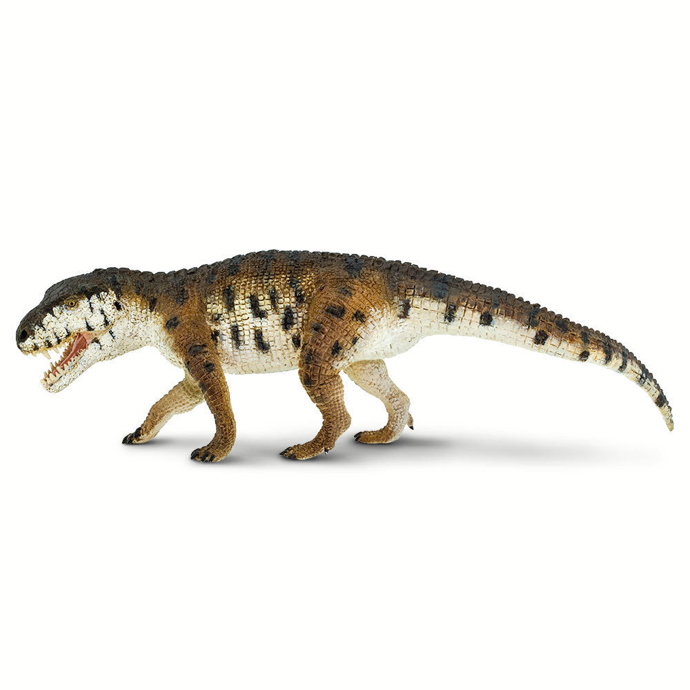 Prestosuchus 22 x 6 cm