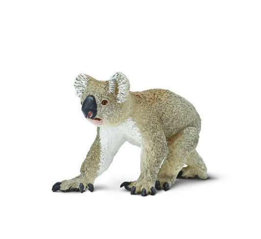 Koala bear