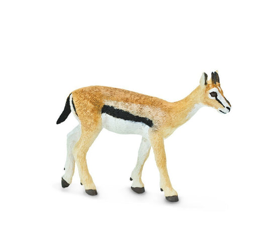 Gazelle 8x6 cm