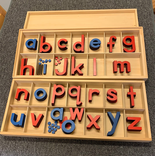 Large movable alphabet lowercase