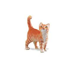 Cat (red tabby)