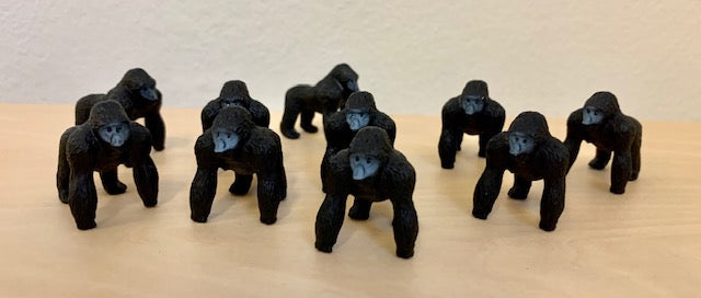 Tiokamraterna gorillor